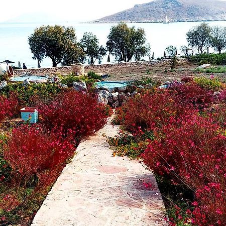Villa Romanza Beach Villa Chalki Town 외부 사진
